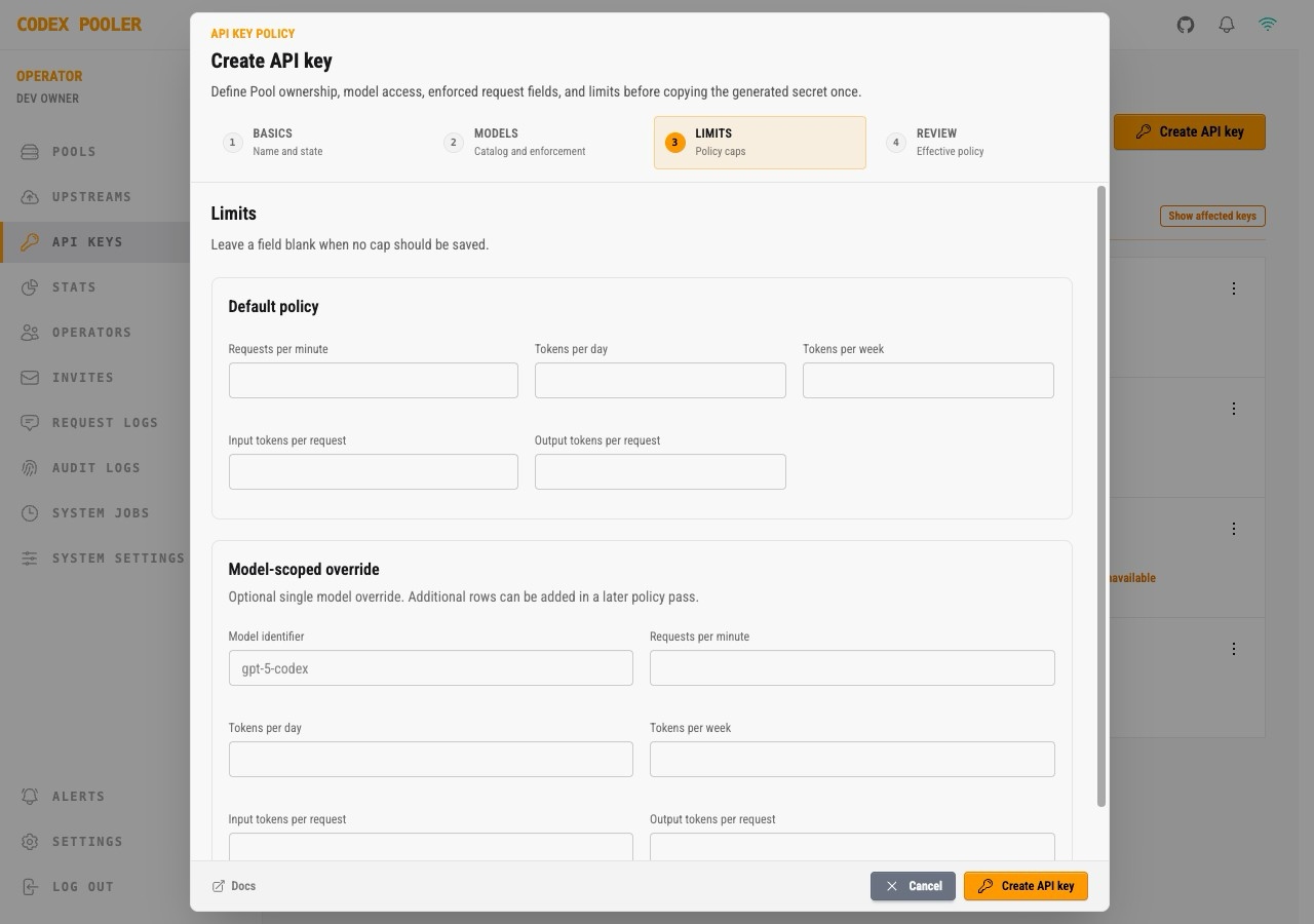 Create API key limits step