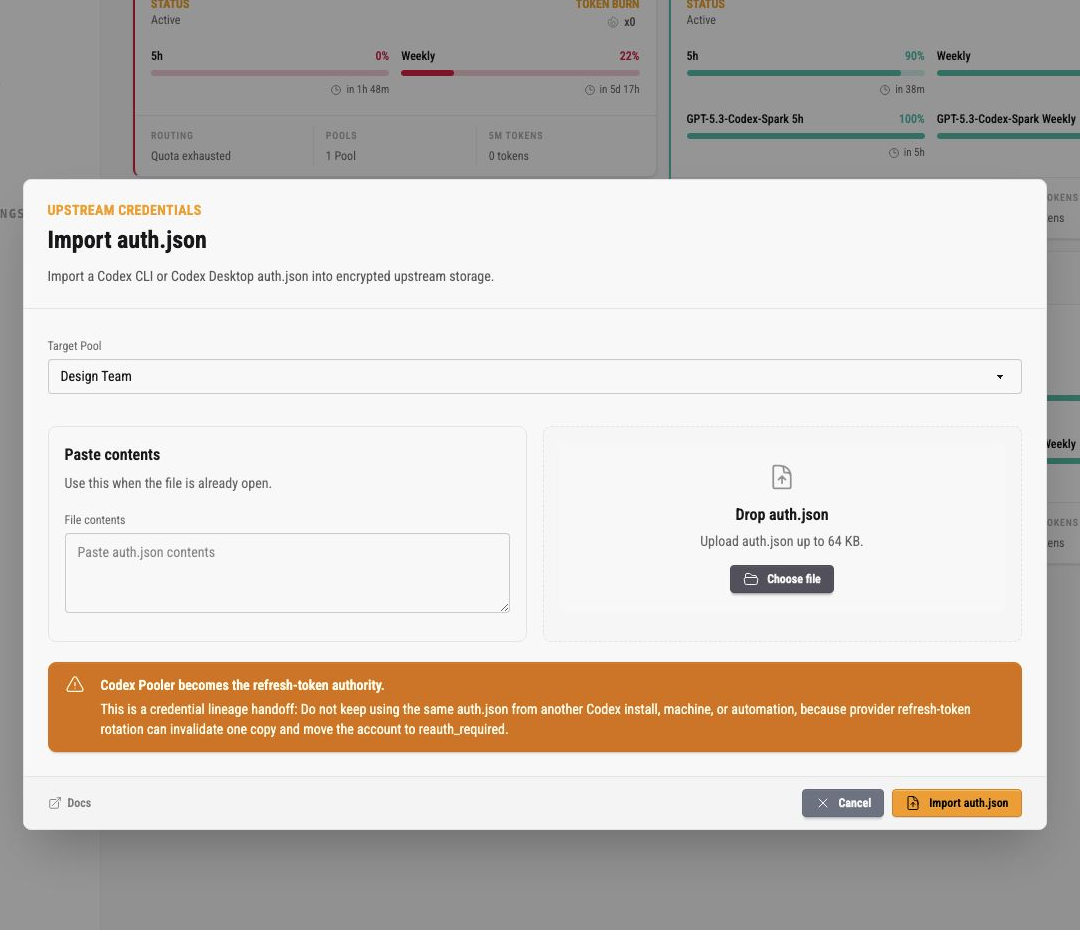 Import auth.json dialog